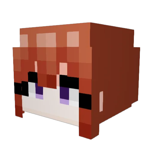TlNA Minecraft avatar head, 3D render