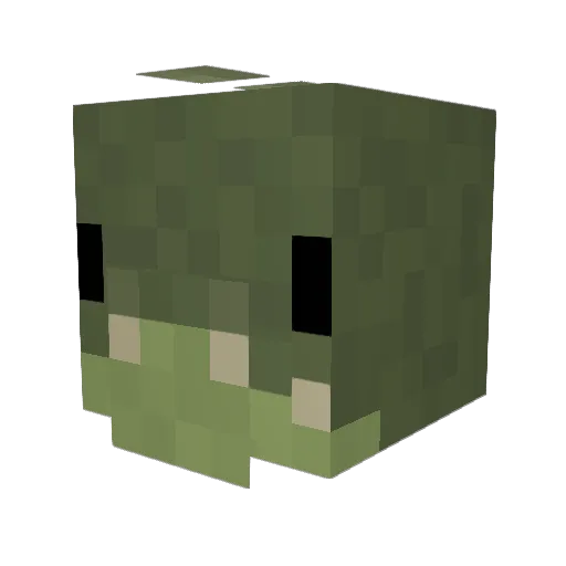 TlRES Minecraft avatar head, 3D render