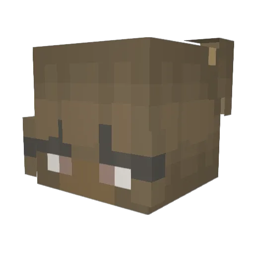 TlTSMAGEE Minecraft avatar head, 3D render