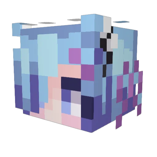 Tl_Penguin Minecraft avatar head, 3D render