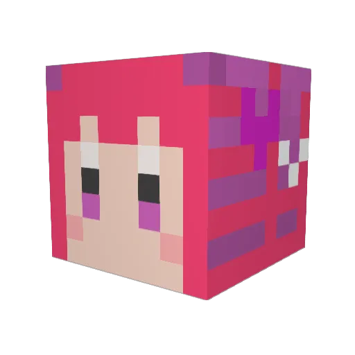 Tle_DJR Minecraft avatar head, 3D render