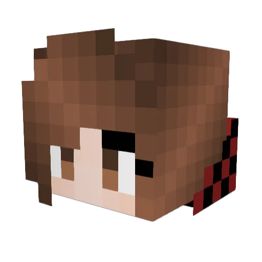 Tleaf2002 Minecraft avatar head, 3D render