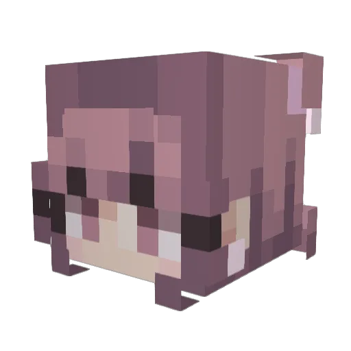 Tleigh Minecraft avatar head, 3D render