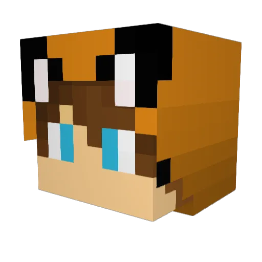 Tlekung4826 Minecraft avatar head, 3D render