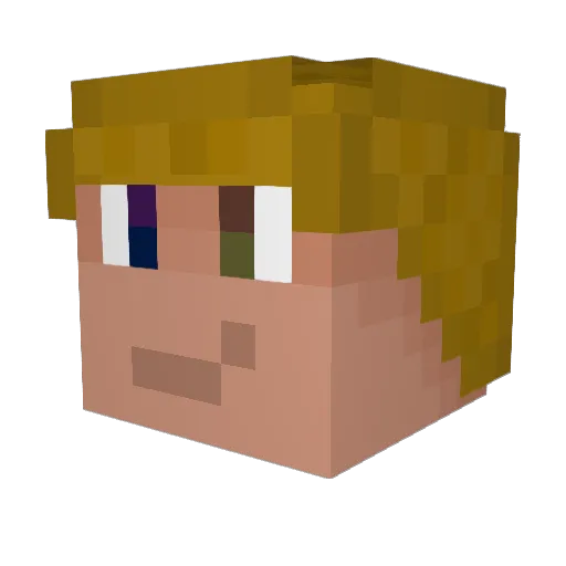 TlgNL Minecraft avatar head, 3D render
