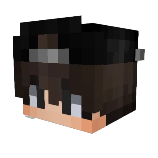 Tlide_ Minecraft avatar head, 3D render