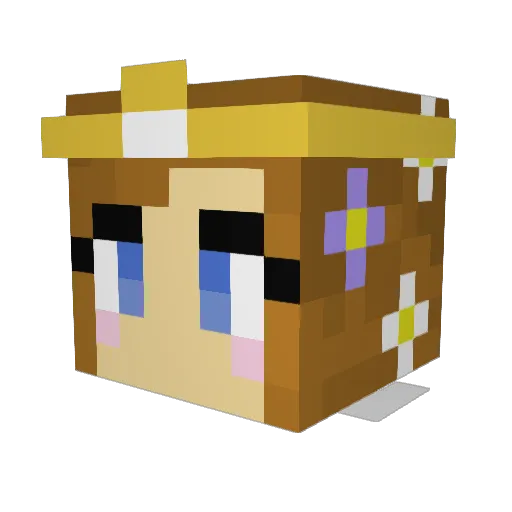 Tlovingood Minecraft avatar head, 3D render
