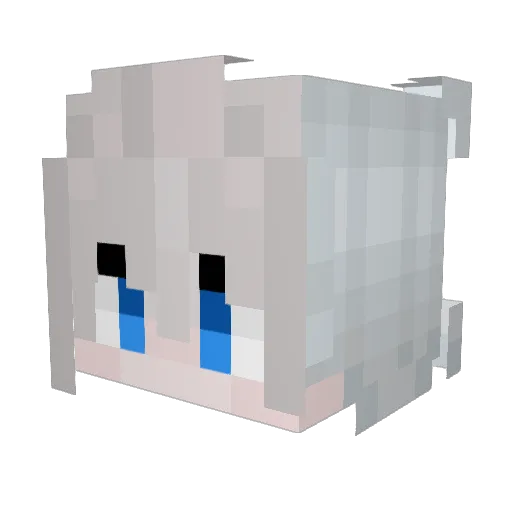 Tlrity Minecraft avatar head, 3D render