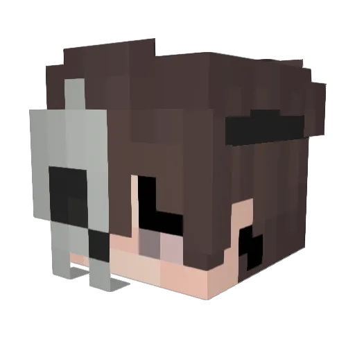 TlwXtream Minecraft avatar head, 3D render