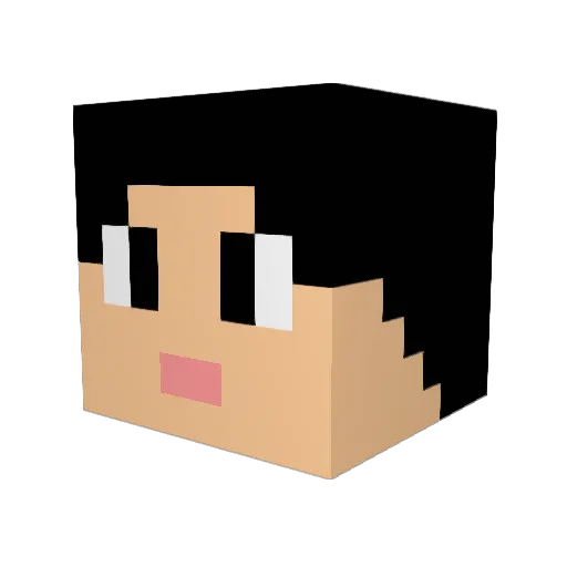 TmKnight2 Minecraft avatar head, 3D render