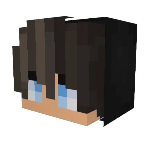 Tmae Minecraft avatar head, 3D render