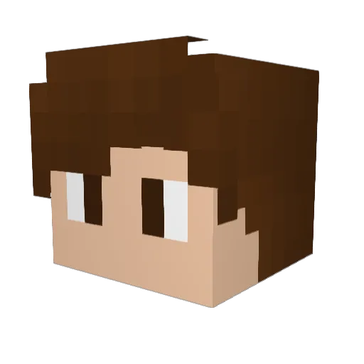 Tmaj0r Minecraft avatar head, 3D render