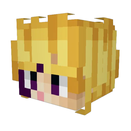 Tman101203 Minecraft avatar head, 3D render