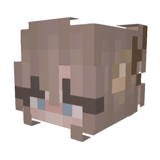 Tman12200 Minecraft avatar head, 3D render