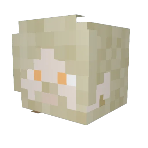 TmcbaggensJr Minecraft avatar head, 3D render