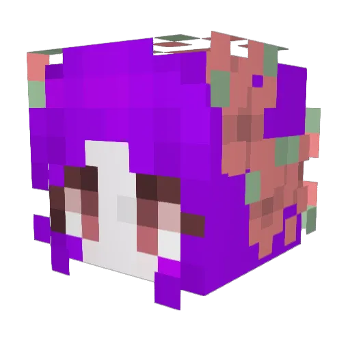 Tmd_wow Minecraft avatar head, 3D render