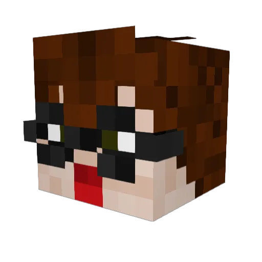 Tmegen Minecraft avatar head, 3D render