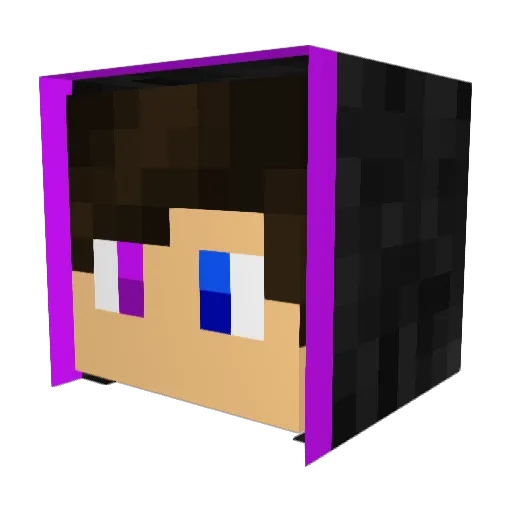 Tmerer Minecraft avatar head, 3D render