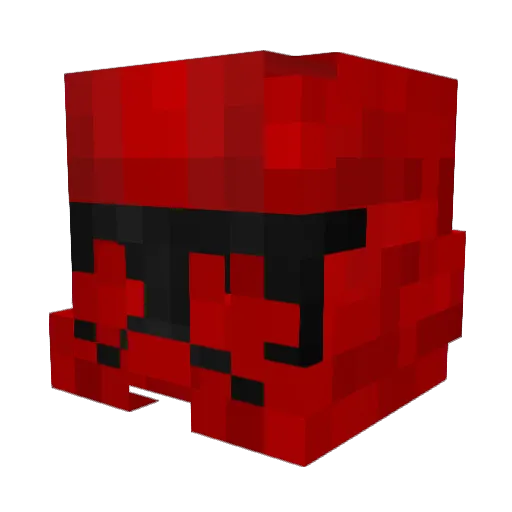 Tmjaelc12 Minecraft avatar head, 3D render