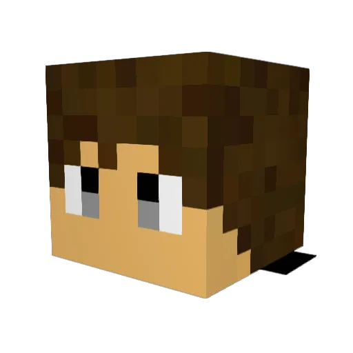 Tmls Minecraft avatar head, 3D render