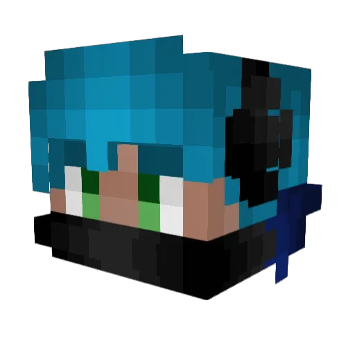 Tms49 Minecraft avatar head, 3D render