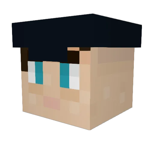 Tms60 Minecraft avatar head, 3D render