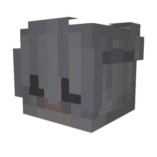 Tmuc_PENTAGON Minecraft avatar head, 3D render
