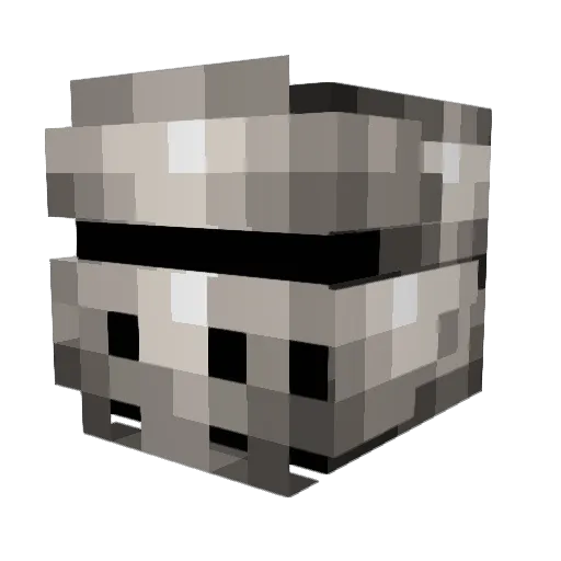 Tmus167 Minecraft avatar head, 3D render