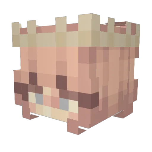 Tmustone27 Minecraft avatar head, 3D render