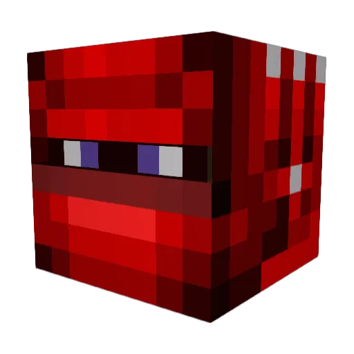 TnT_Pwner Minecraft avatar head, 3D render