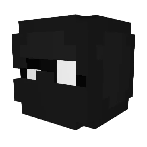 TnTninja19352 Minecraft avatar head, 3D render