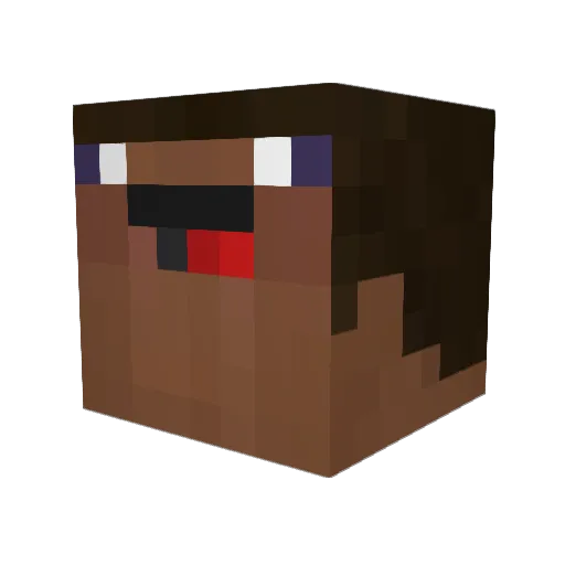 TnTx2THE4_ Minecraft avatar head, 3D render
