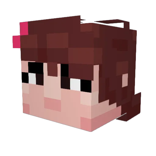 TnWasHere Minecraft avatar head, 3D render