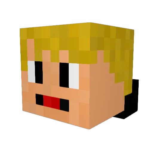 Tnebb Minecraft avatar head, 3D render