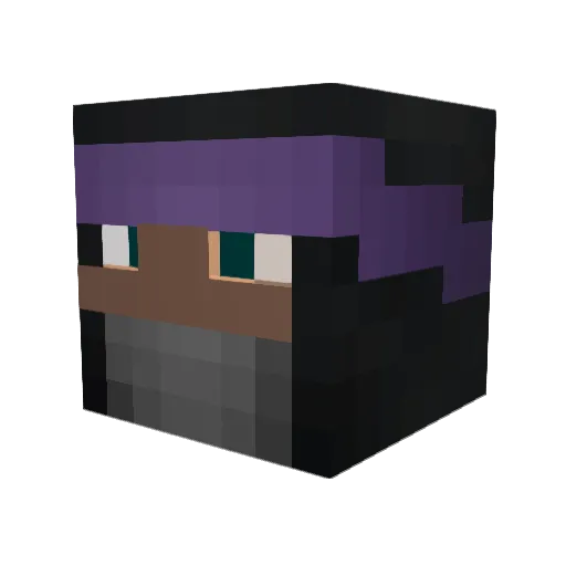 Tninja4ever Minecraft avatar head, 3D render