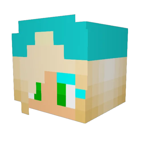 Tnoid Minecraft avatar head, 3D render