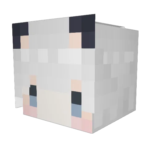 TnpK Minecraft avatar head, 3D render