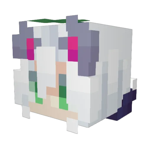 Tnukii Minecraft avatar head, 3D render