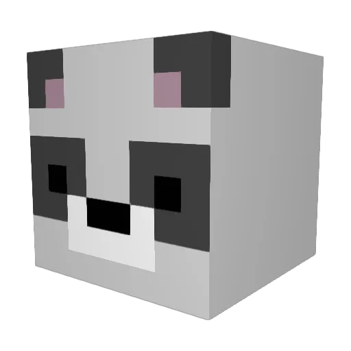 TnyM317 Minecraft avatar head, 3D render