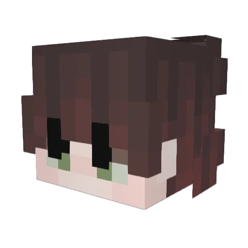 ToBeSniffed Minecraft avatar head, 3D render