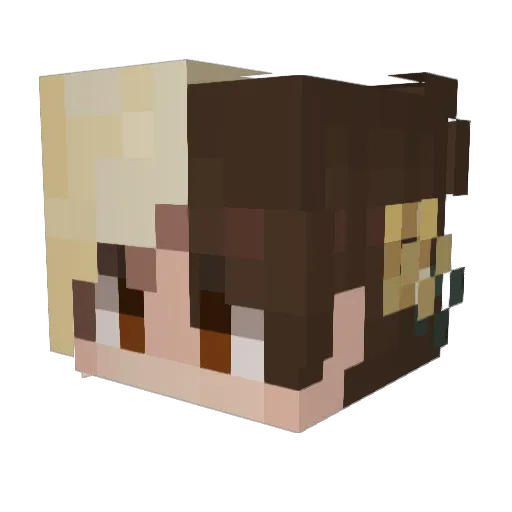 ToBee0rNotToBee Minecraft avatar head, 3D render