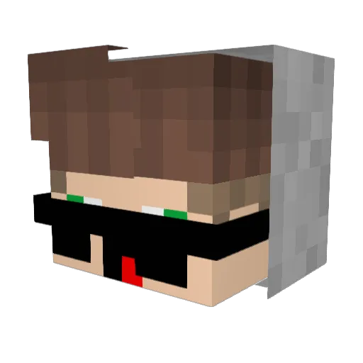ToFatToFly Minecraft avatar head, 3D render