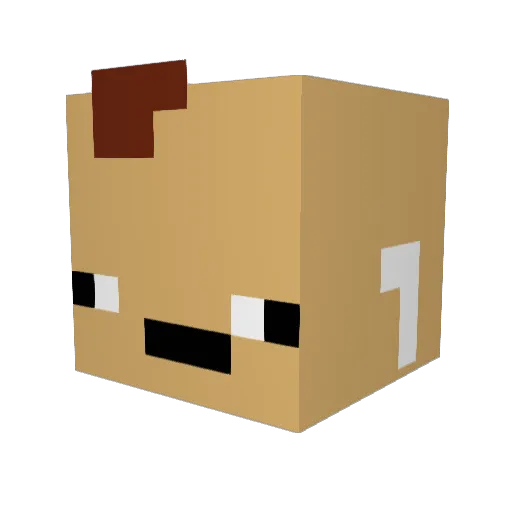 ToG_Mikey Minecraft avatar head, 3D render