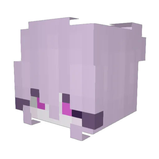 ToIIIu Minecraft avatar head, 3D render