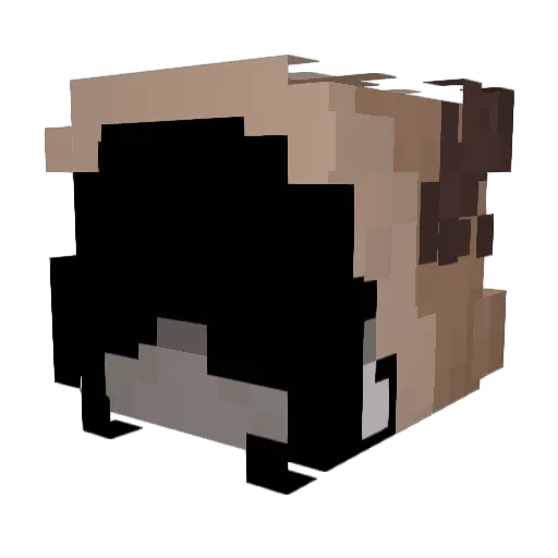 ToJaNikola Minecraft avatar head, 3D render