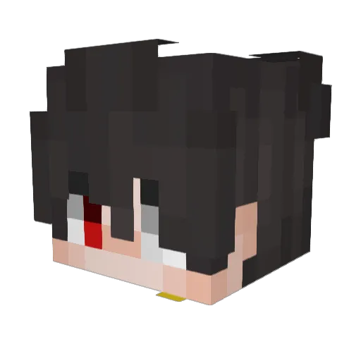ToJaZagiel Minecraft avatar head, 3D render