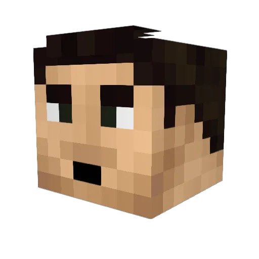 ToMLD_ Minecraft avatar head, 3D render