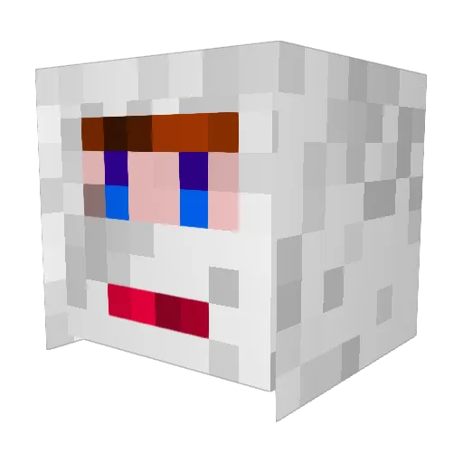ToM_AS Minecraft avatar head, 3D render