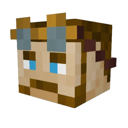 ToMakPo Minecraft avatar head, 3D render