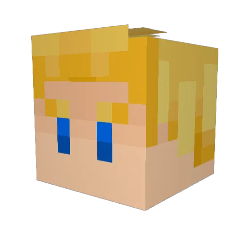 ToMiNoodles Minecraft avatar head, 3D render